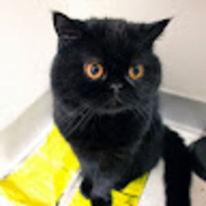 Meet your Posher, Christopher